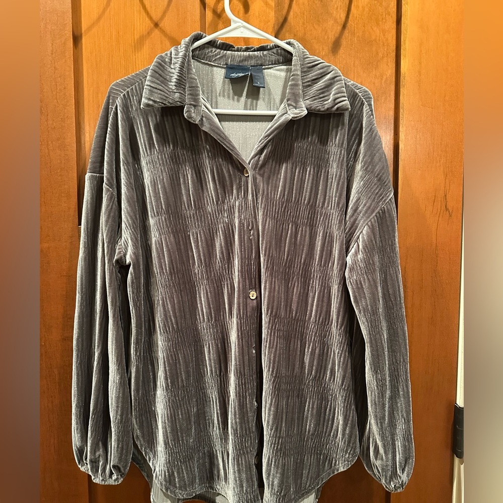 Daytrip silver velvet button up